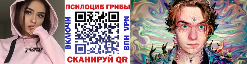 Псилоцибиновые грибы Psilocybine cubensis  Купить закладки  Ухта 